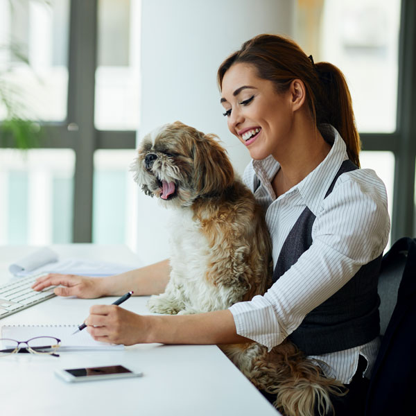 Veterinary Office Assistant